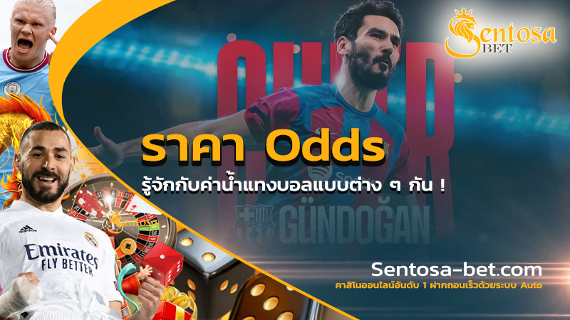 ราคา odds