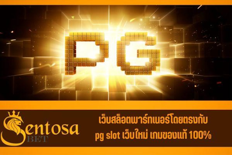 pg slot เว็บใหม่