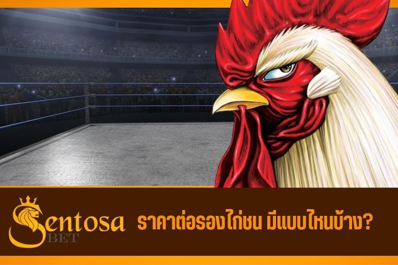 ไก่ชนออนไลน์